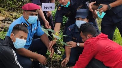 दंगा प्रहरी नियन्त्रण गणमा फलफूल तथा वोट विरुवाहरु बृक्षारोपण ( तस्वीर सहित )