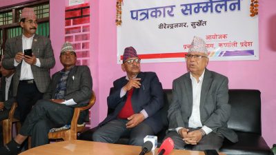 गठबन्धन धरापमा पर्नसक्छ : माधव नेपाल