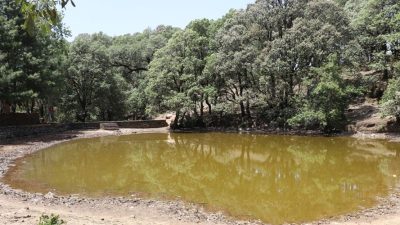 पाताल भूमेश्वरको तलाउ सङ्कटमा